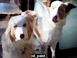 oil_paint